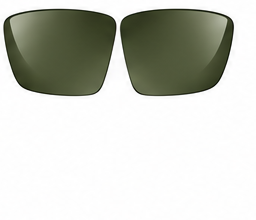 G15 OLIVA
