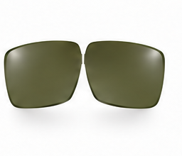G15 OLIVA